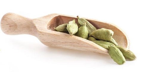 恒盛調(diào)味品與苗雞養(yǎng)殖 產(chǎn)品展示與店鋪視覺(jué)營(yíng)銷策略
